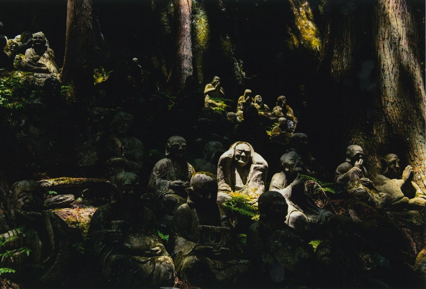 01 R7フォトコン【一般】グランプリ「個性あふれる羅漢様」野中章雄