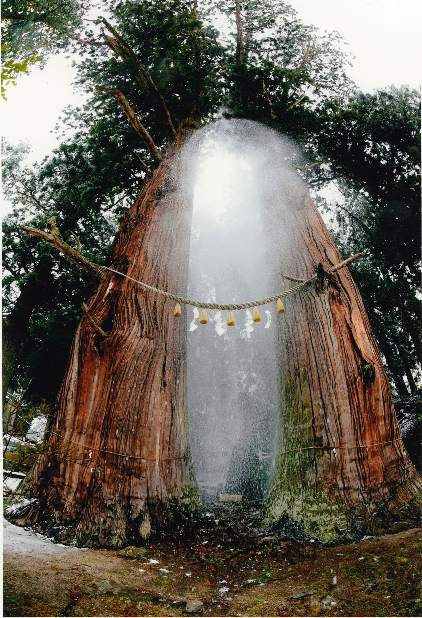 05 R7フォトコン【一般】優秀賞「神の雪」田子保浩