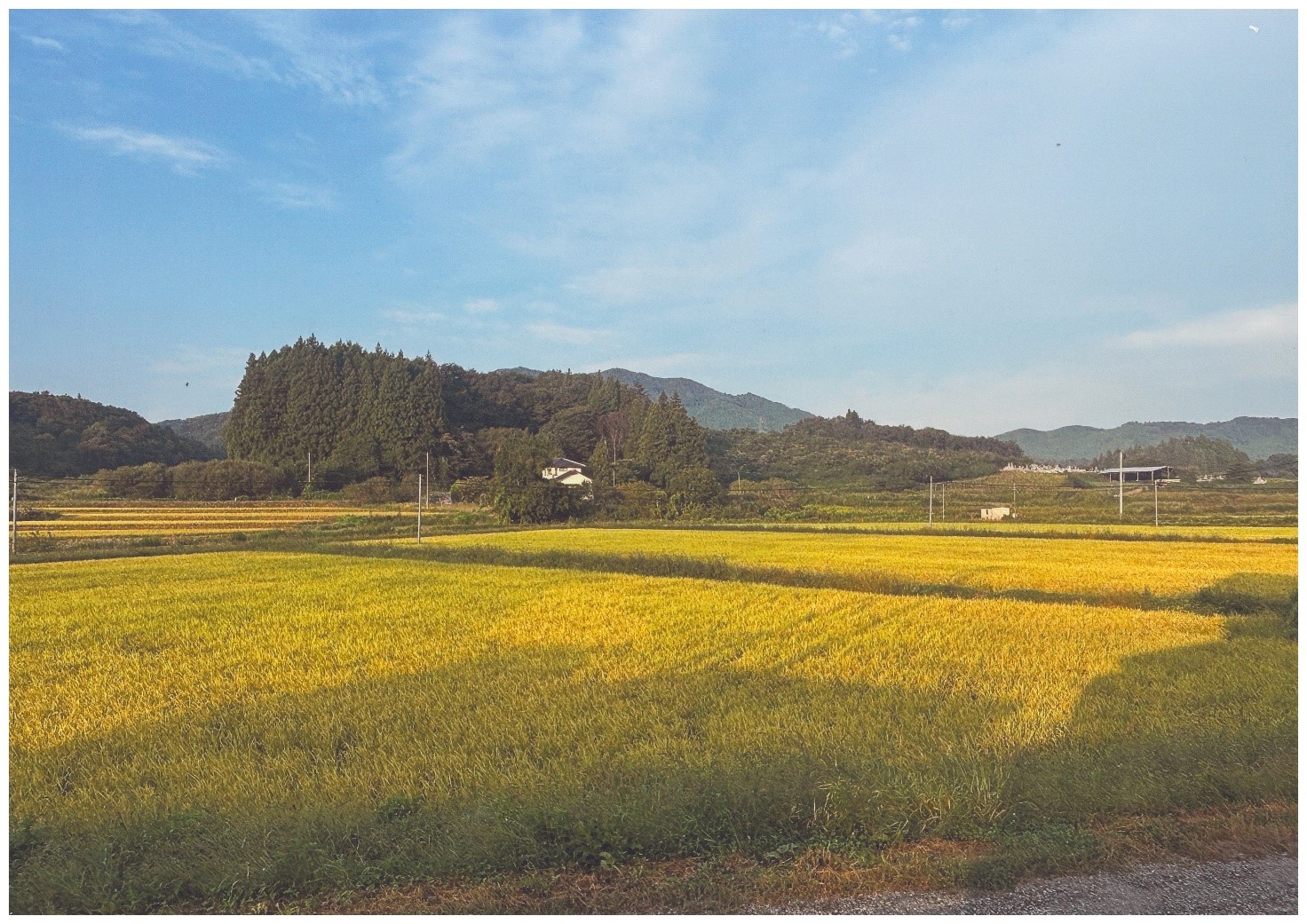 08 R7フォトコン【ジュニア】優秀賞「おはようの景色」石井文智